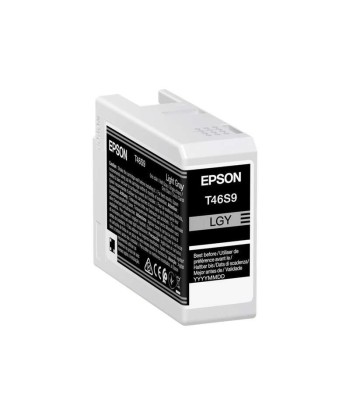 Epson T46S9 Gris Light...