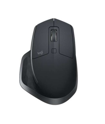 Logitech MX Master 2S Raton...