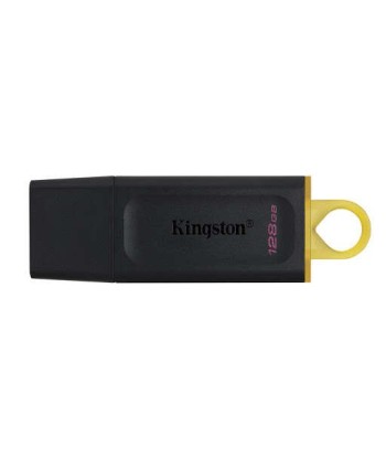 Kingston DataTraveler...