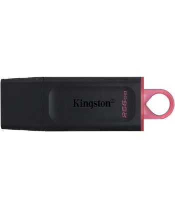 Kingston DataTraveler...