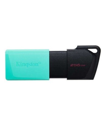 Kingston DataTraveler...