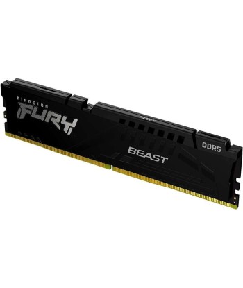 Kingston Fury Beast Memoria...