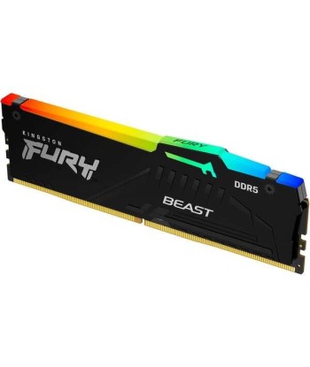 Kingston Fury Beast RGB...