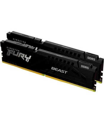 Kingston Fury Beast Memoria...