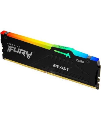 Kingston Fury Beast RGB...