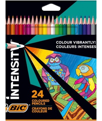 Bic Intensity Triangle Caja...